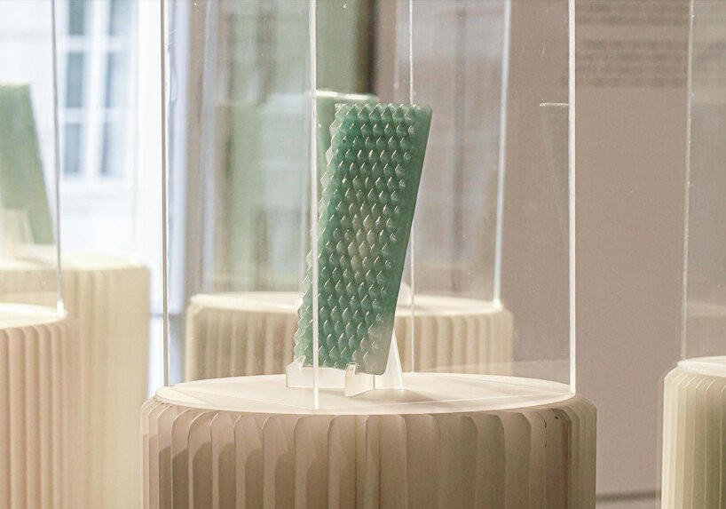 Midye Kabuğundan Yapılan Biyocam