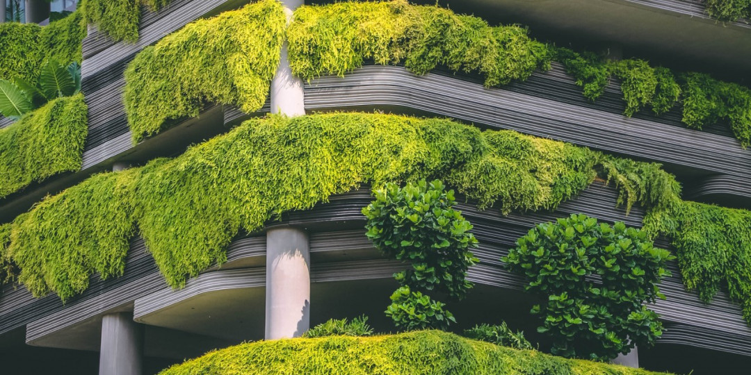 Mimaride Karbon Ayak İzi