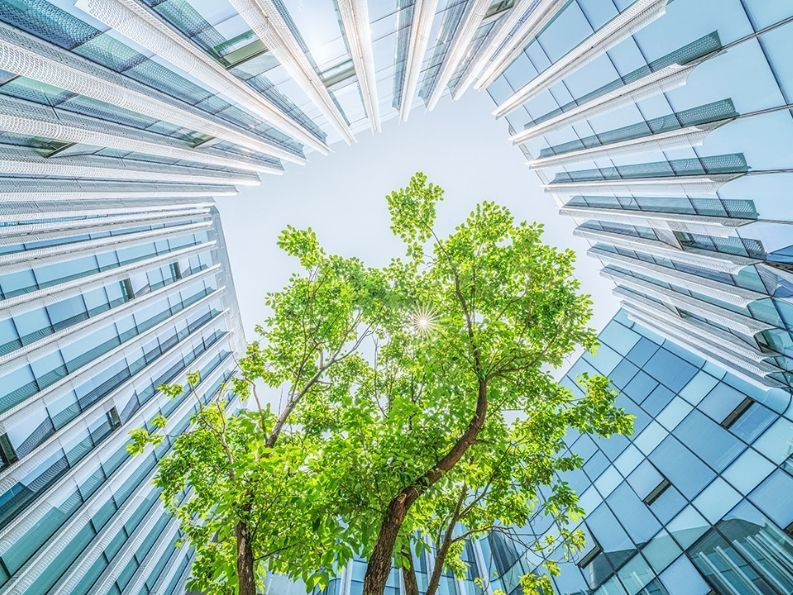 Mimaride Karbon Ayak İzi