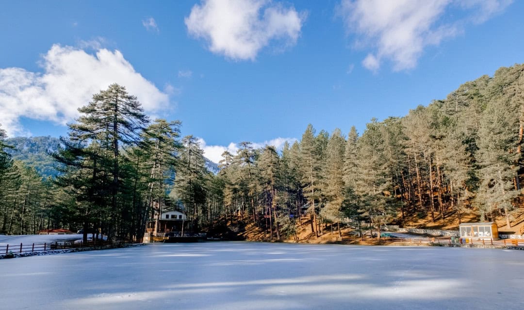 Missafir otel yönetimi Missafir otel yönetimi