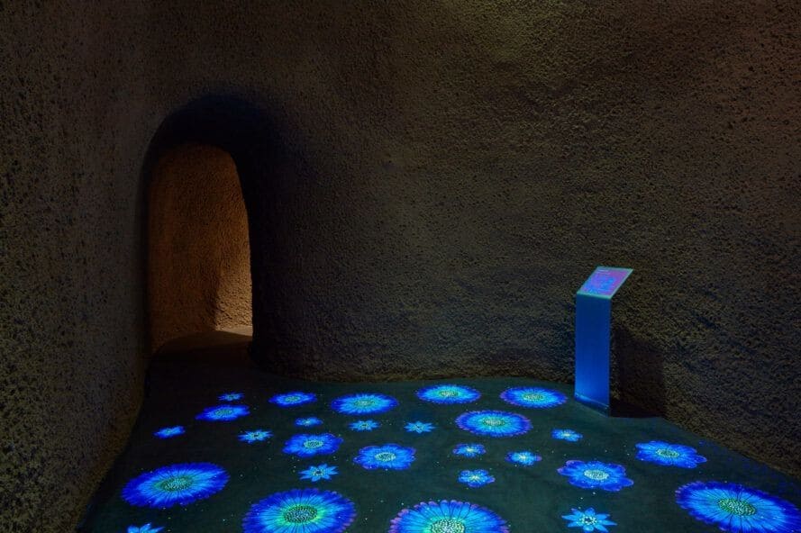 Montreal Insectarium'un Metamorphosis