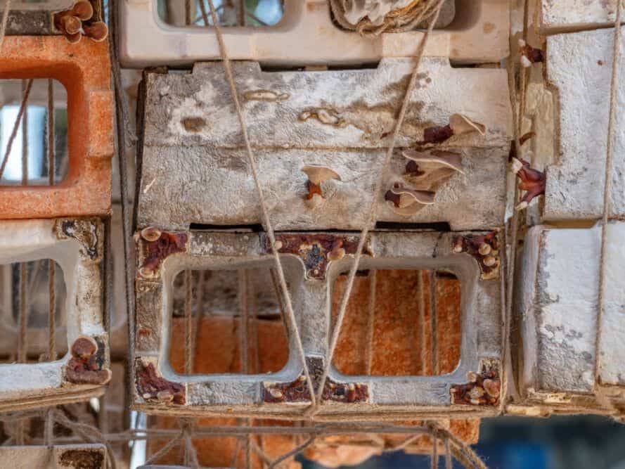 Mushroom Brick Pyramids