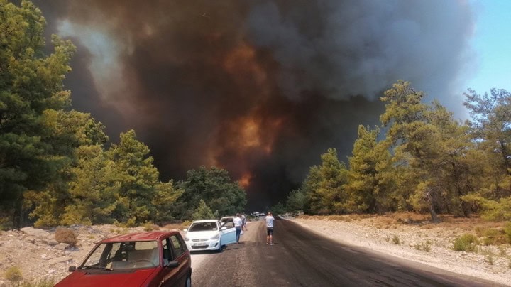 Ormanlar neden yanıyor?