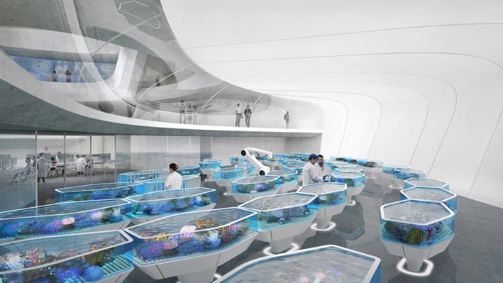 Araştırma Merkezi Projeleri