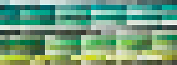 Estetiğin Ötesinde Renk: İç Mekanlarda Yeşilin Psikolojisi