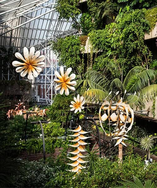 Ranjani Shettar'ın Karmaşık Organik Heykeller