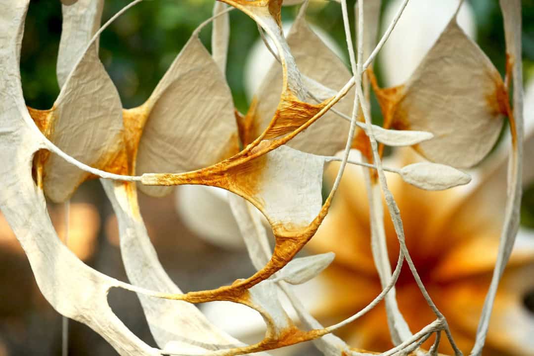 Ranjani Shettar'ın Karmaşık Organik Heykeller