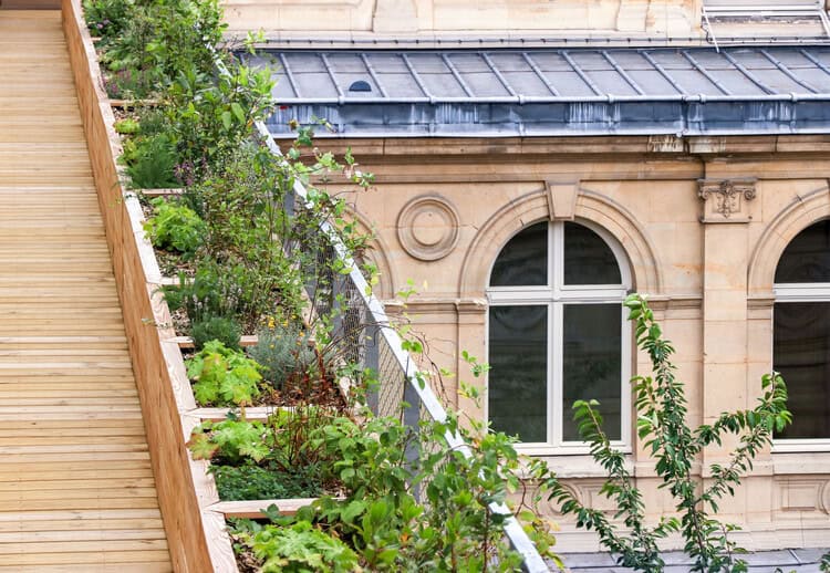 Roofscapes Roofscapes