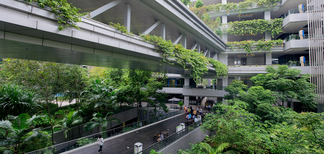 Salutojenik tasarım