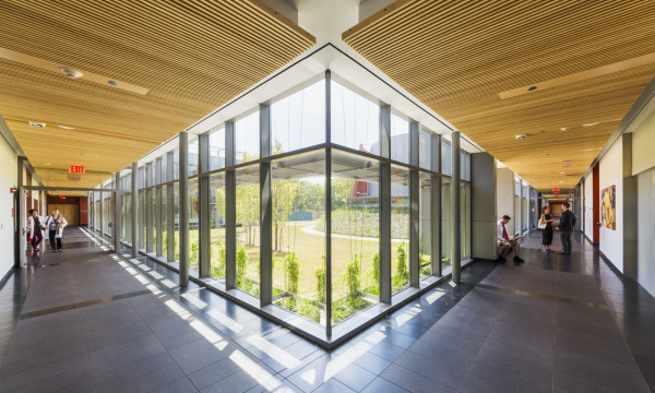 Salutojenik tasarım