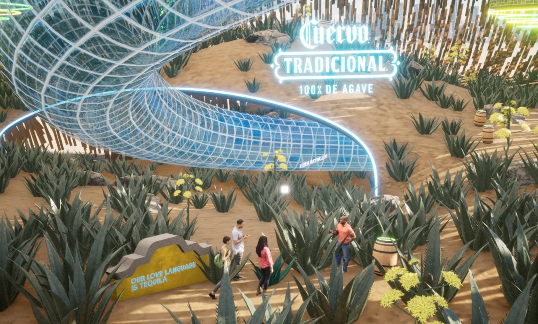 Agave bitkileri Cuervo Discovery Garden'da yetiştirilir ve hasat edilir