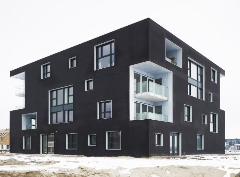 Siyah Beyaz İkizler