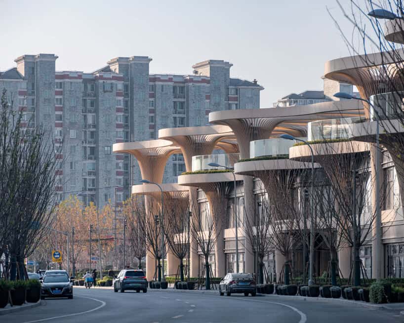 Solar Trees Marketplace