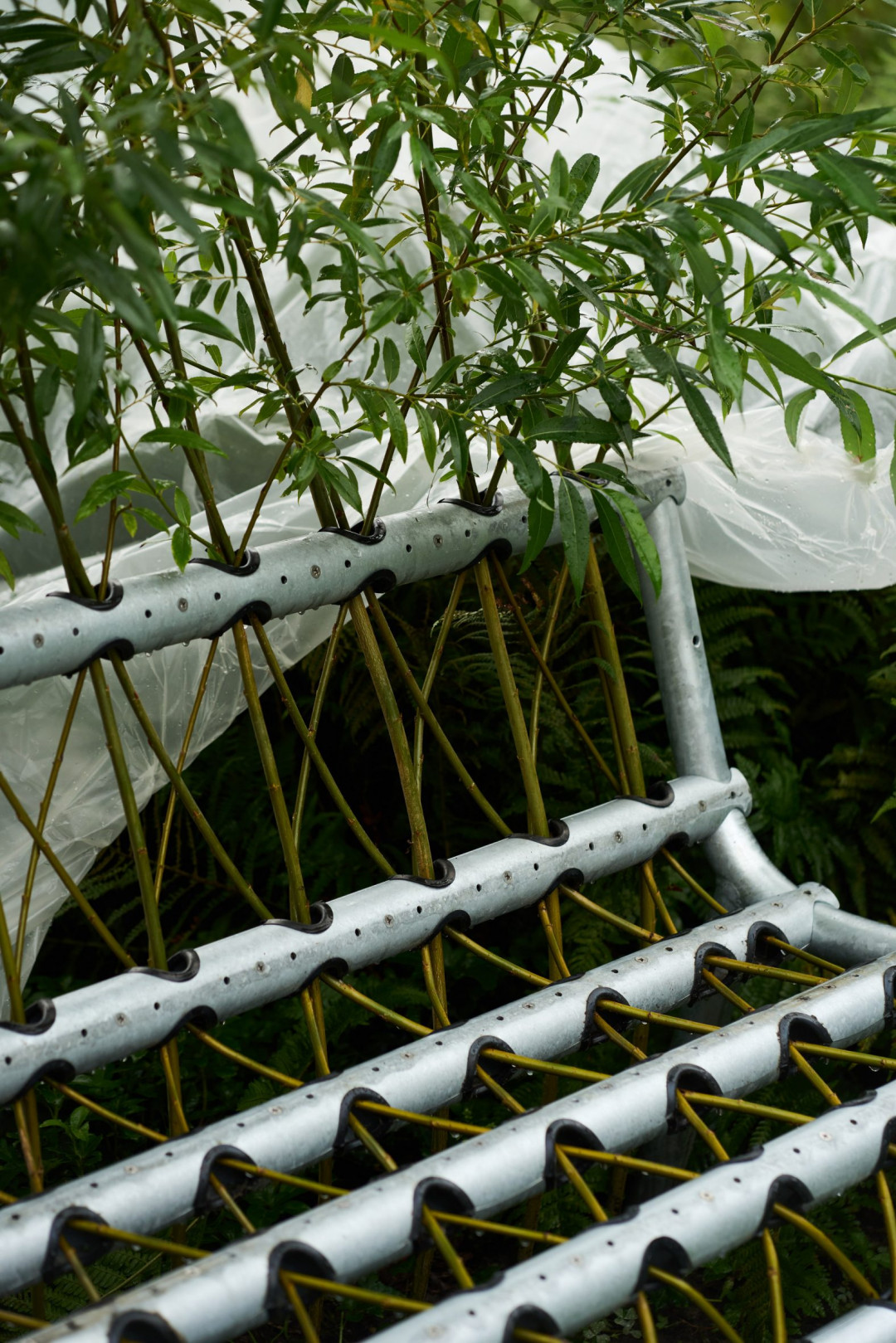 Sürdürülebilir Bank