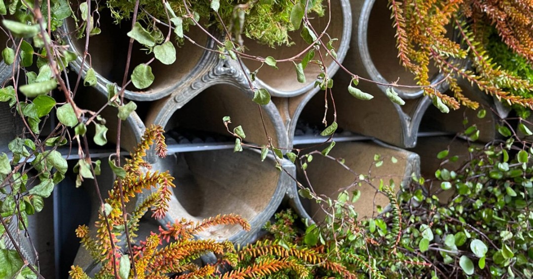 Sürdürülebilir Bir Yeşil Cephe Tasarımı