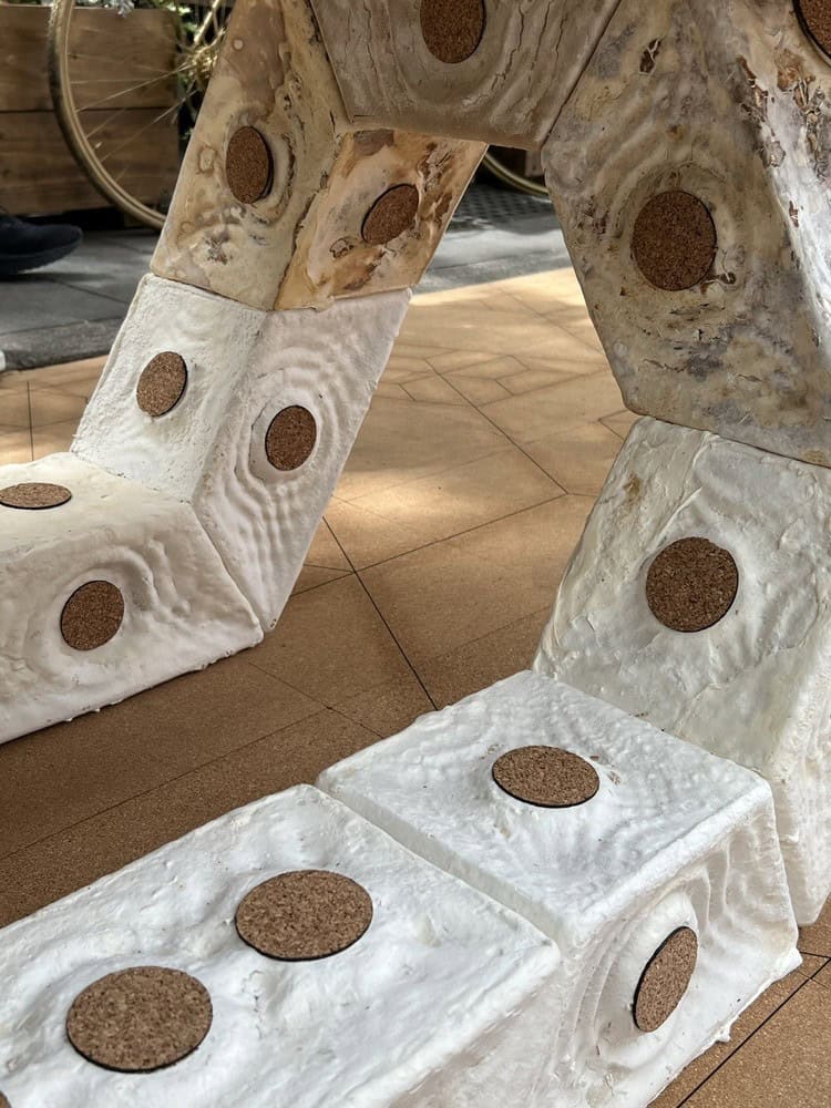 Sürdürülebilir Mimaride Miselyum