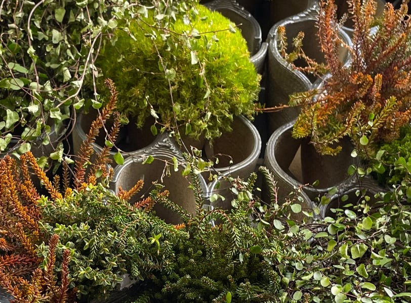 Sürdürülebilir Bir Yeşil Cephe Tasarımı