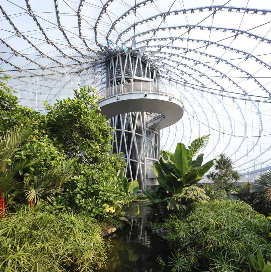 Sürdürülebilirlik İçin Botanik Bir Sığınak