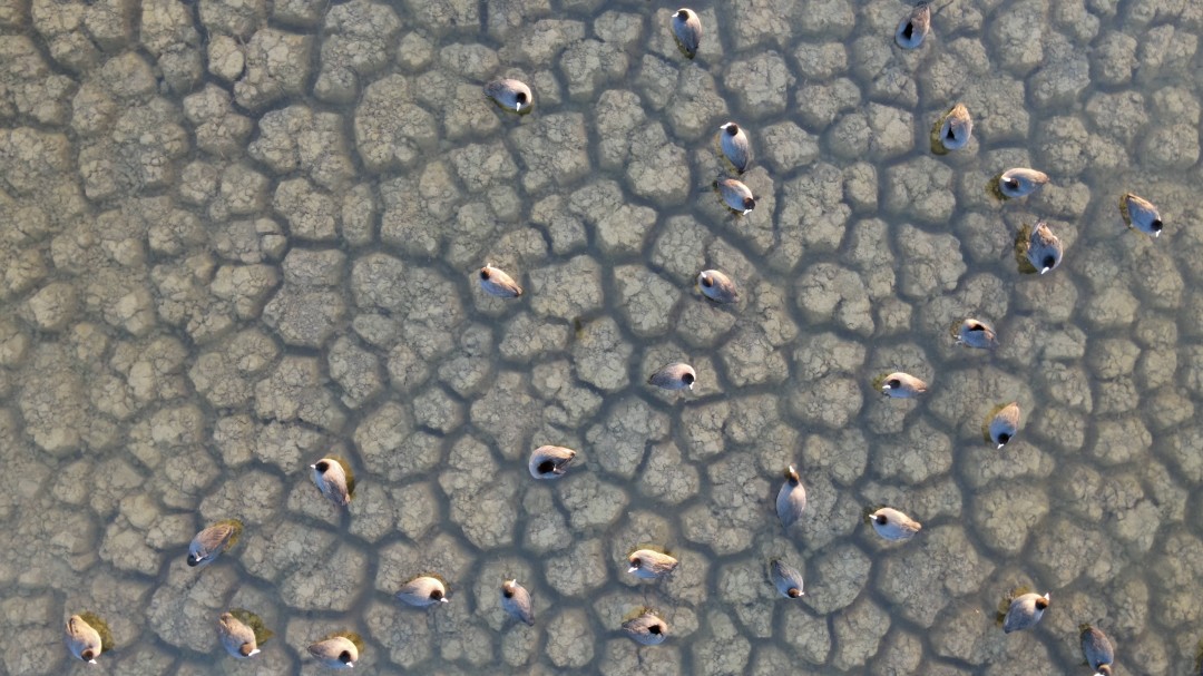 Susuz ve Kurak Dünya Su Günü!