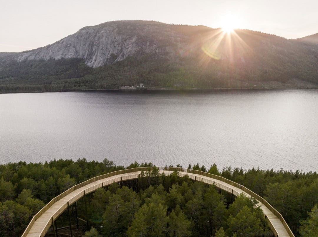 Tüm Doğaseverlerin Erişebileceği Bir Ağaç Tepesi Yürüyüş Yolu
