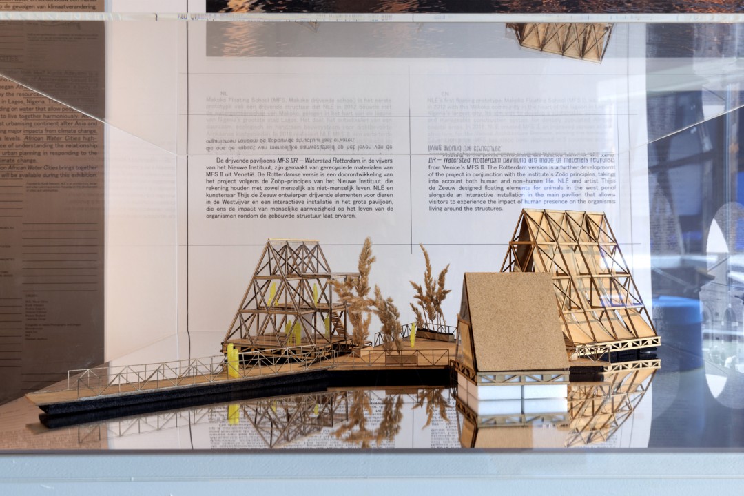 Water Cities Rotterdam