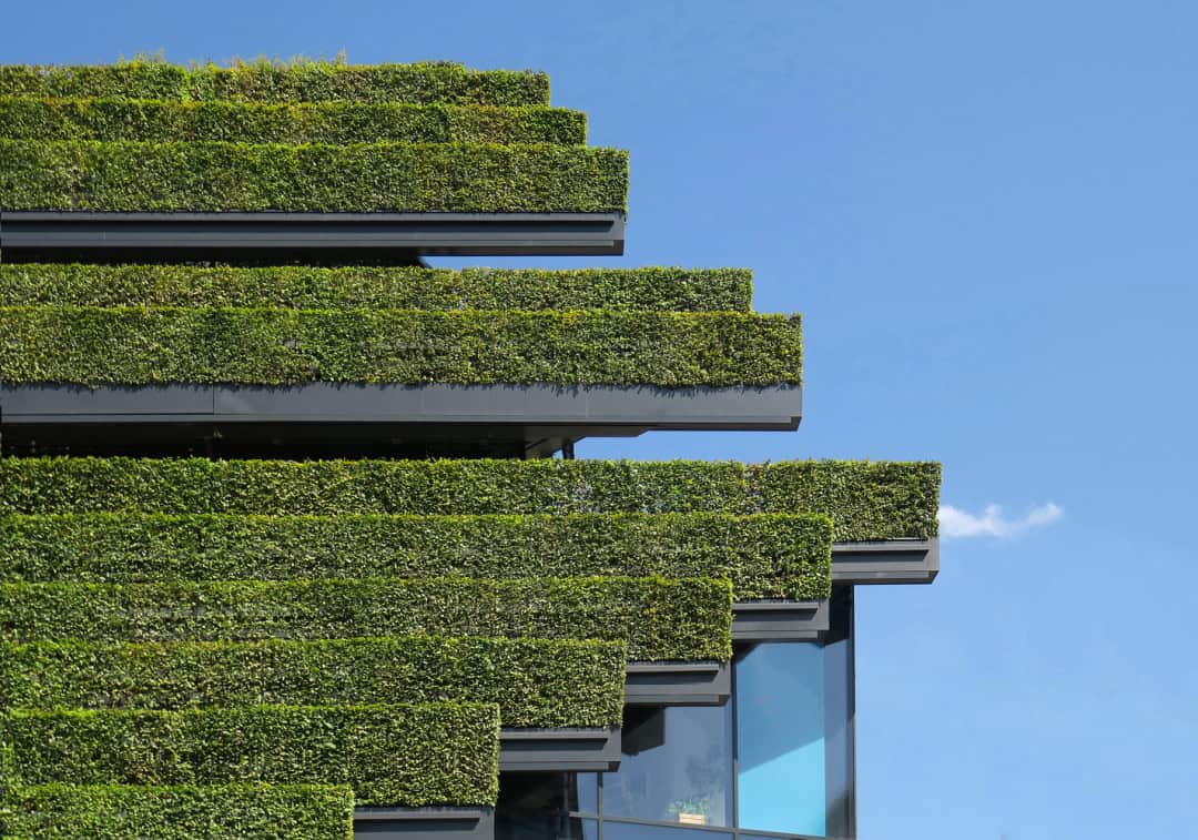 Yeşil Cephe Örneği