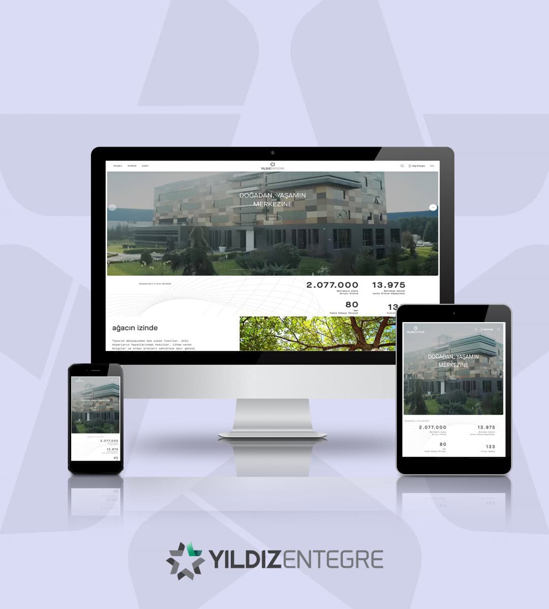 Yıldız Entegre web sitesi