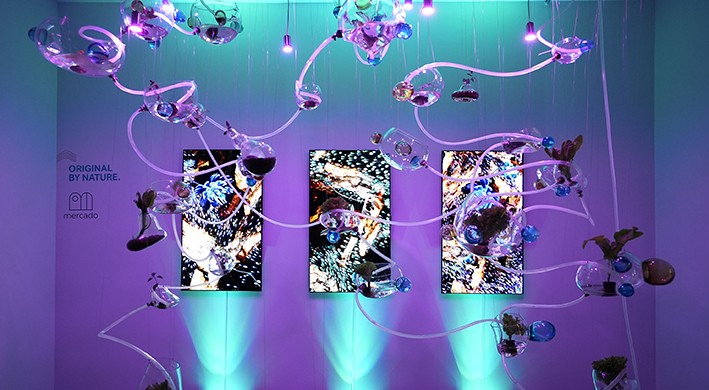 İstanbul Akaretler Sergi