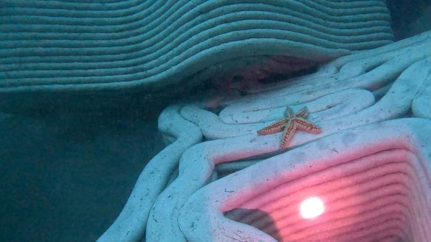 denizin altında yapay resif