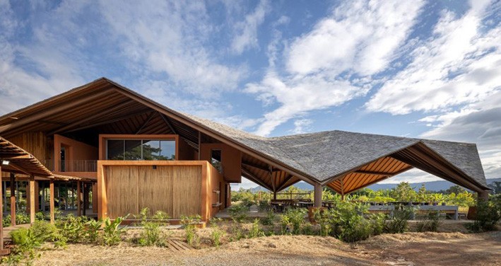 En Popüler 9 Biyomalzeme Türü ve Tasarımda Kullanımı