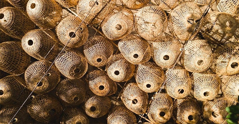 Bambudan İnşa Edilmiş Sürdürülebilir Bir Pavyon Bambudan İnşa Edilmiş Sürdürülebilir Bir Pavyon