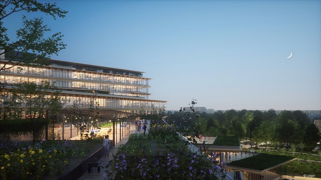 Geleceğin Biyofilik Ofisi