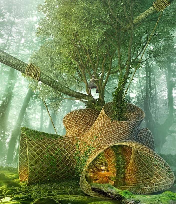 Biyotasarım Örnekleri