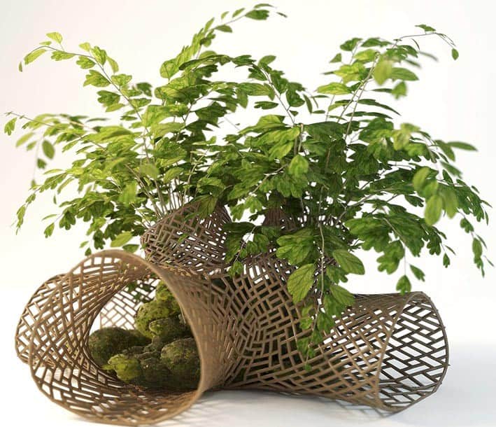 Ağaçların Mimarlıkta Kullanımı