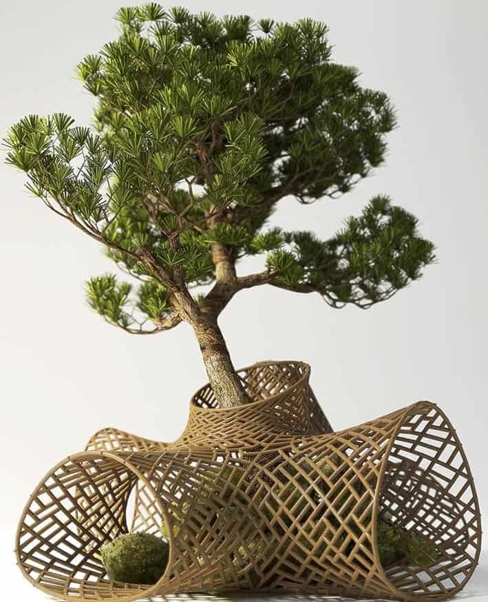 Ekolojik Mimarlık Örnekleri