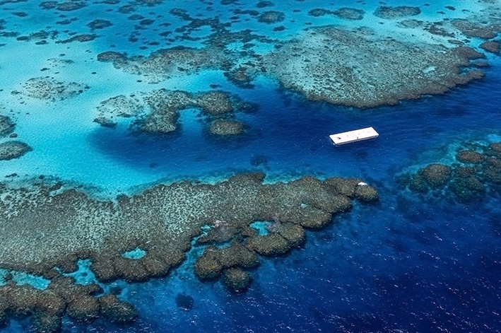 Yüzen Deniz Kortu Örnekleri