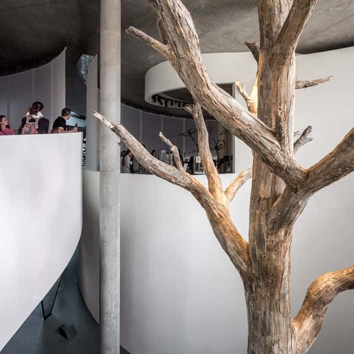 Organik Formlu Müze