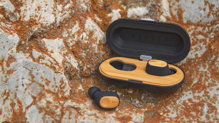 En Popüler 9 Biyomalzeme Türü ve Tasarımda Kullanımı