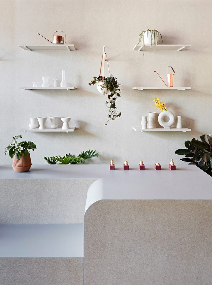 En Popüler 9 Biyomalzeme Türü ve Tasarımda Kullanımı