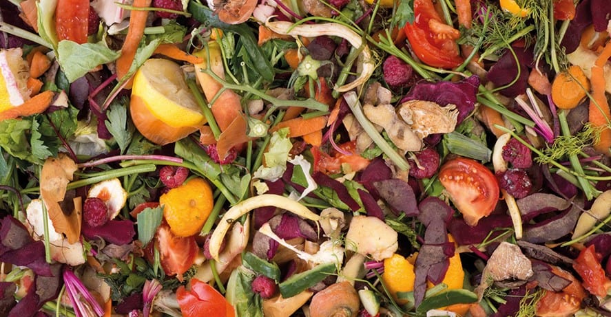 Organik Gıda Atıkları