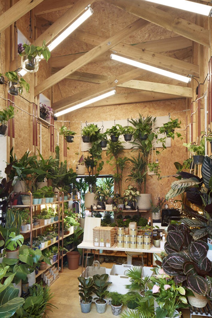 Ekolojik Tasarım Örnekleri