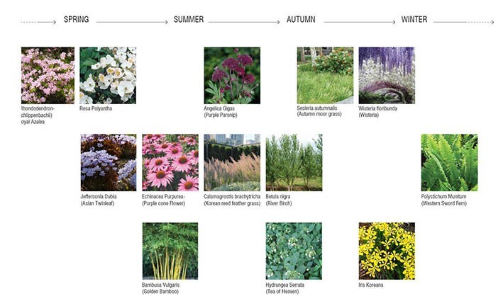 Sürdürülebilirlik Güney Kore Yerel Bitki Örnekleri