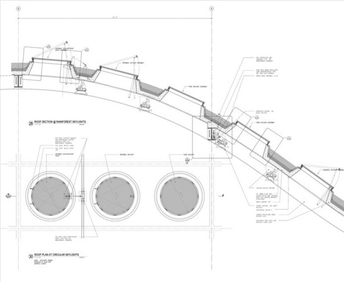 Çatı Işıklığı Çizim