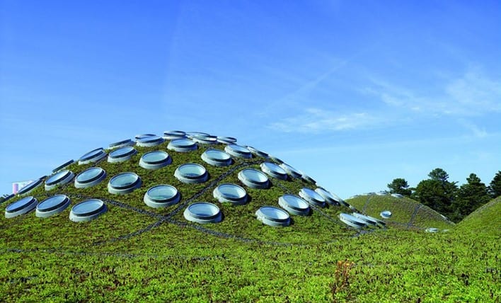 Yeşil Çatı Örnekleri