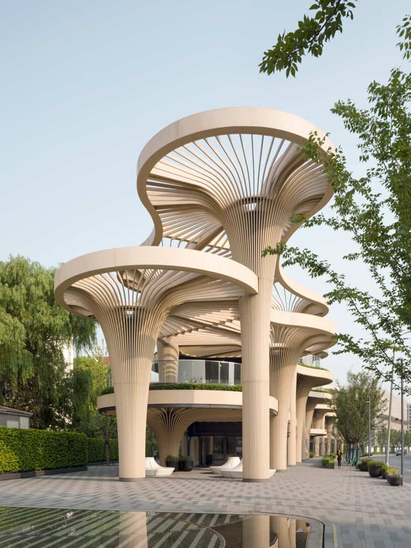 Solar Trees Marketplace