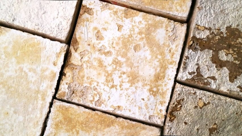 Sürdürülebilir mimari miselyum