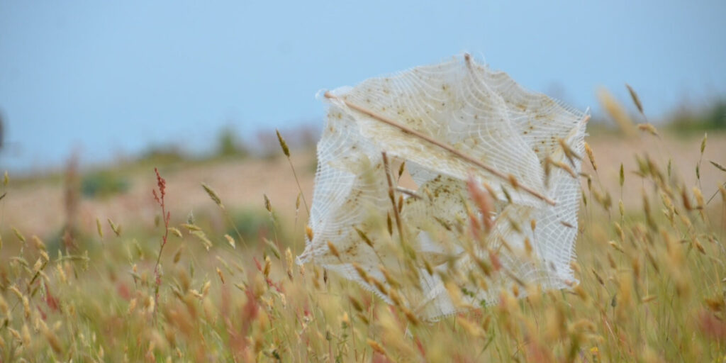 Eko Tasarım Göçebe