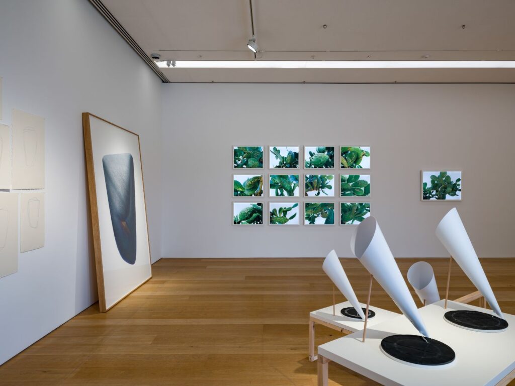 Arter Sergi-Yapım Aşamasında