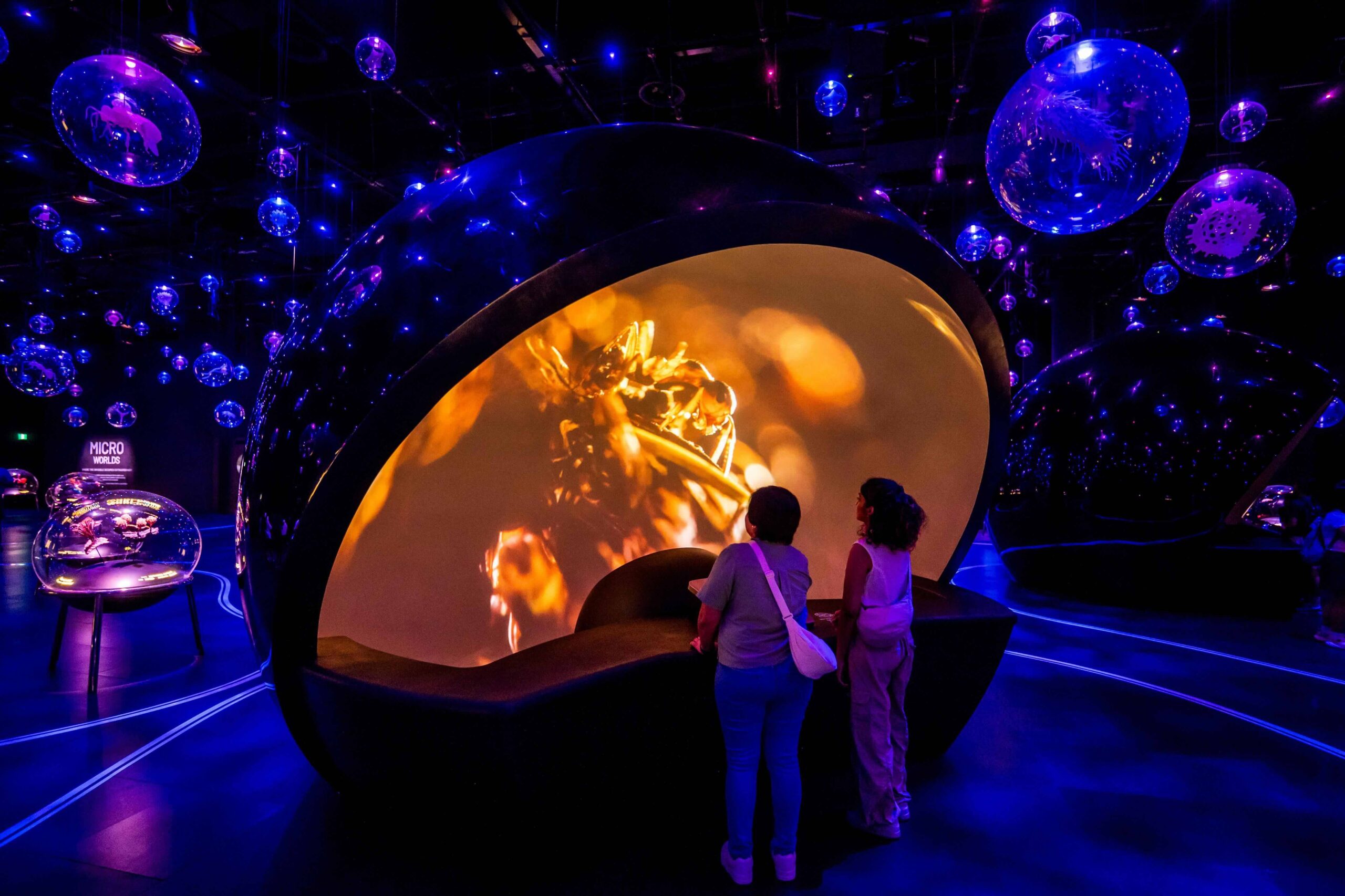 Exploria